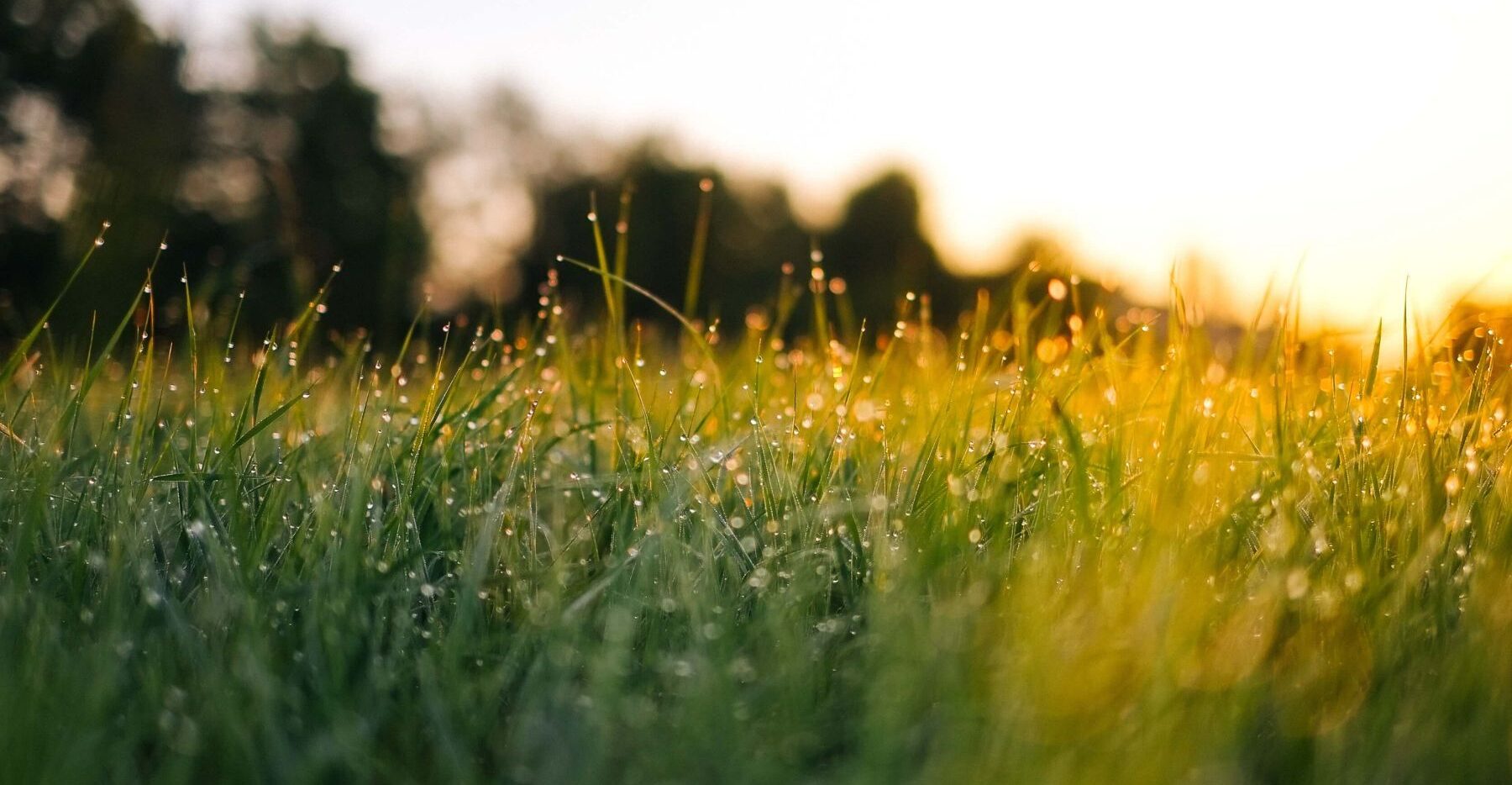 Your Six-Point Checklist to Choosing the Right Block of Land