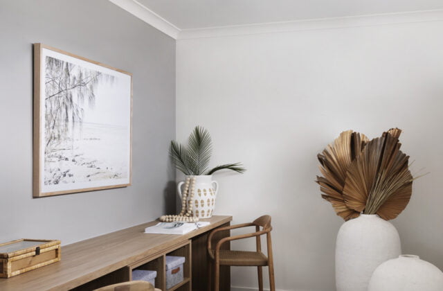 Study - Rathdowne Display