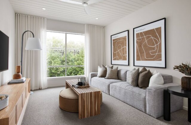 Rumpus - Meridian Display