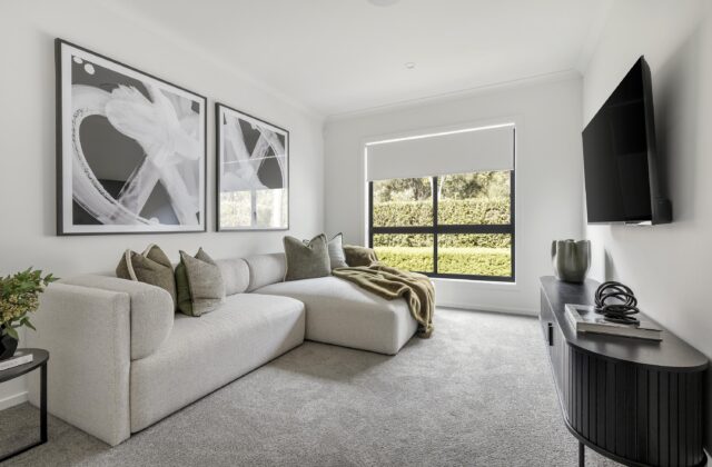 Rumpus - Ridgelea Display 