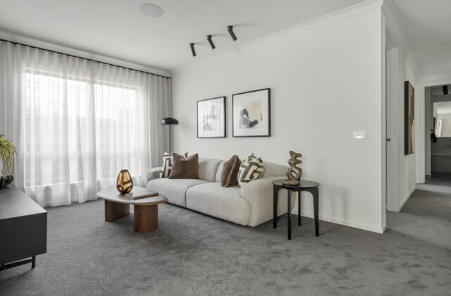 Rumpus - Riverfield display